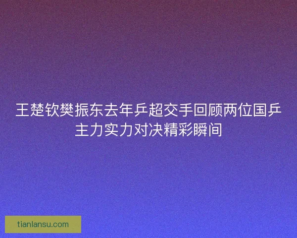 王楚钦樊振东去年乒超交手回顾两位国乒主力实力对决精彩瞬间