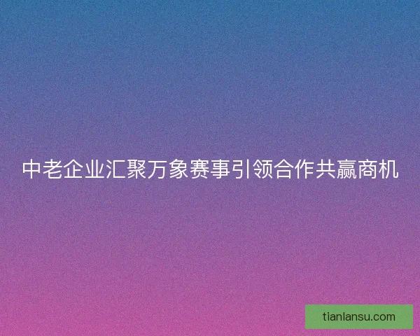 中老企业汇聚万象赛事引领合作共赢商机