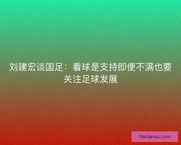 刘建宏谈国足：看球是支持即便不满也要关注足球发展