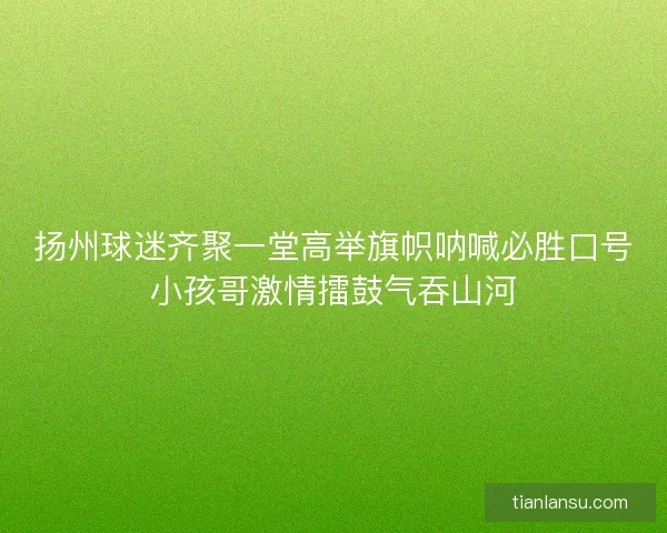 扬州球迷齐聚一堂高举旗帜呐喊必胜口号小孩哥激情擂鼓气吞山河